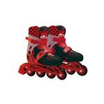 Ladybug-Patins-com-Acessorios-Tamanho-33-ao-36---Fun-Divirta-se