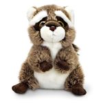 Pelucia-Animal-Planet-Guaxinim---Fun-Divirta-se