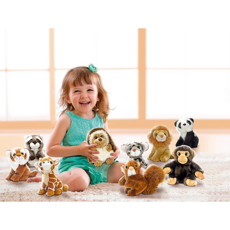 Pelucia-Animal-Planet-Guaxinim---Fun-Divirta-se