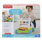 Fisher-Price-Apoiador-de-Atividades-Push-up---Mattel