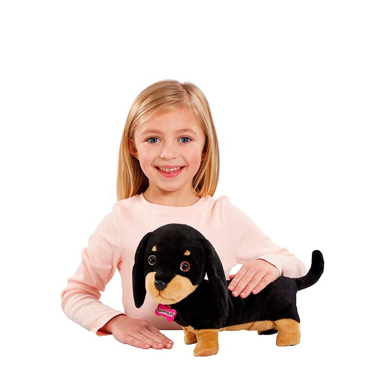 Fur-Balls-Pets-Adotados-Salsichinha---Fun-Divirta-se