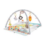 Fisher-Price-Ginasio-Deluxe-de-Aprendizagem-Sensorial---Mattel