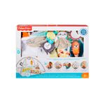 Fisher-Price-Ginasio-Deluxe-de-Aprendizagem-Sensorial---Mattel