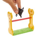 Barbie-Playset-Ken-Treinador-de-Caes---Mattel---1