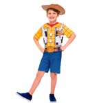 Fantasia-Curta-Toy-Story-4-Woody-G---Regina-Festas-
