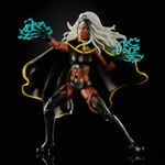 X-Men-Marvel-Legends-Tempestade-e-Passaro-Trovejante--Hasbro