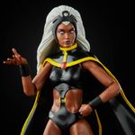 X-Men-Marvel-Legends-Tempestade-e-Passaro-Trovejante--Hasbro