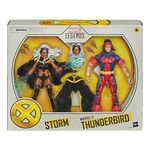 X-Men-Marvel-Legends-Tempestade-e-Passaro-Trovejante--Hasbro
