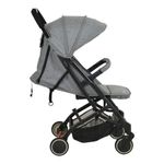 Carrinho-Zap-Gray-Ate-15kg---Burigotto-