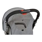 Carrinho-Zap-Gray-Ate-15kg---Burigotto-
