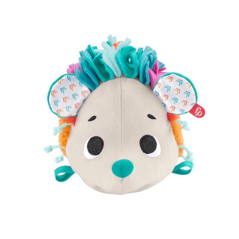 Fisher-Price-Estimulo-E-Brincadeira-Ourico---Mattel