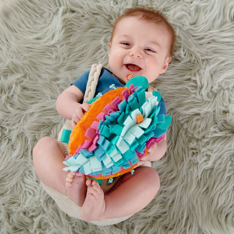 Fisher-Price-Estimulo-E-Brincadeira-Ourico---Mattel