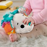 Fisher-Price-Estimulo-E-Brincadeira-Ourico---Mattel