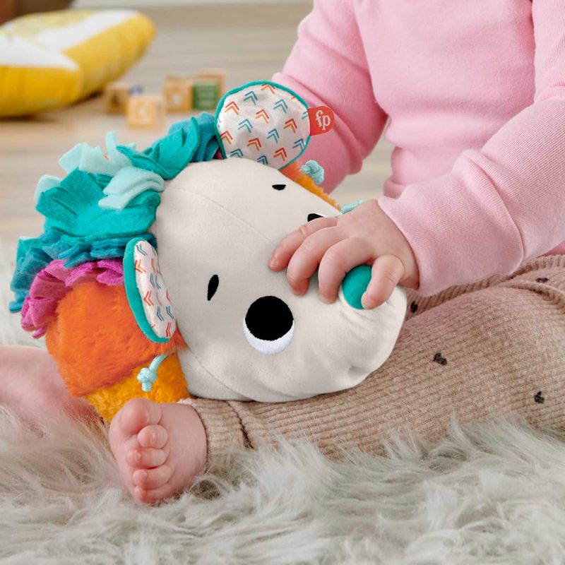 Fisher-Price-Estimulo-E-Brincadeira-Ourico---Mattel