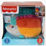 Fisher-Price-Estimulo-E-Brincadeira-Ourico---Mattel