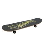 Hot-Wheels-Skate-Sem-Acessorios-Macaco---Fun-Divirta-se