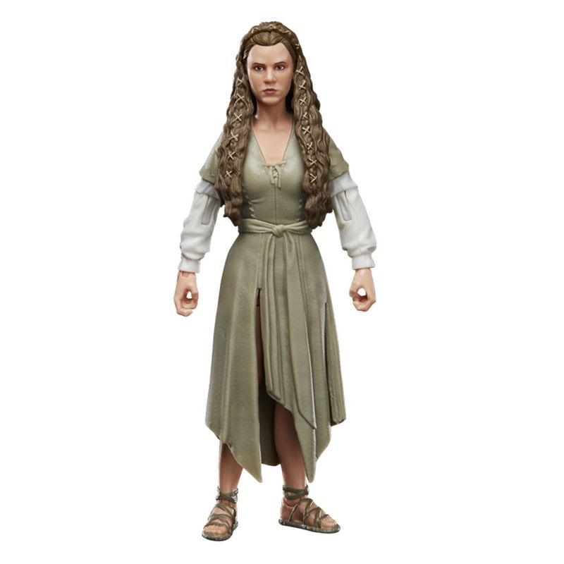 Star-Wars-The-Black-Series-Princesa-Leia---Hasbro