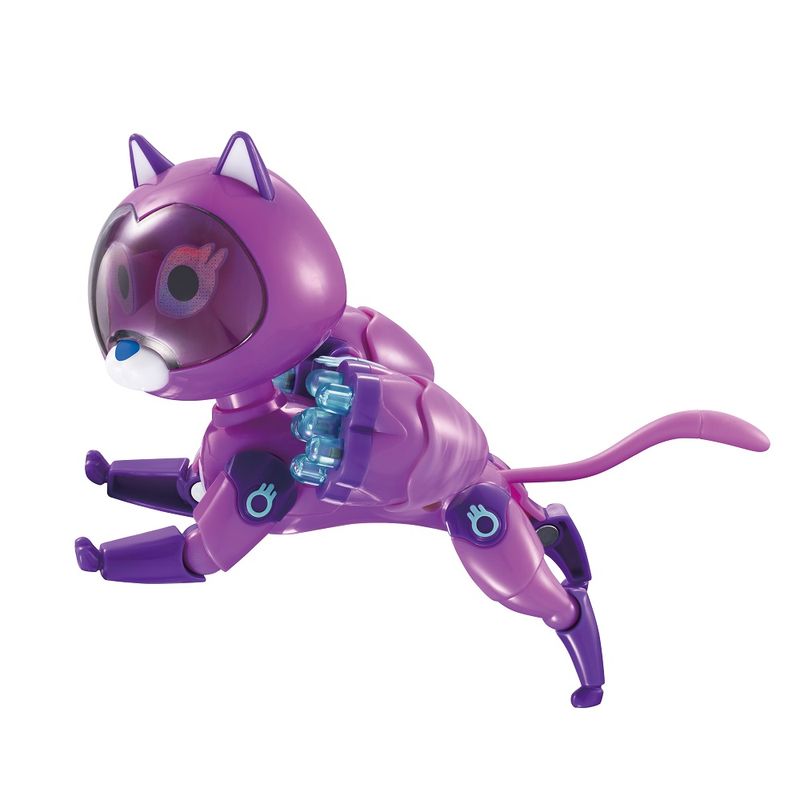 Petronix-Super-Pet-Kitt-Pull-Back---Fun-Divirta-se