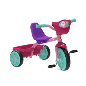 Triciclo com Cestinha Bandy - Bandeirante