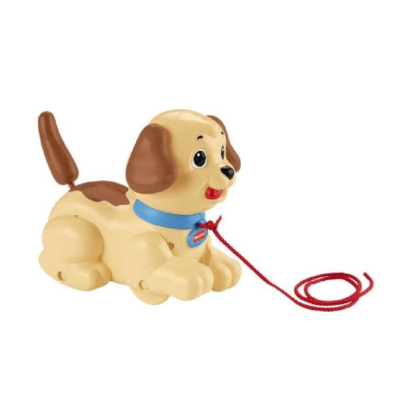 Fisher-Price-Meu-Primeiro-Cachorrinho---Mattel