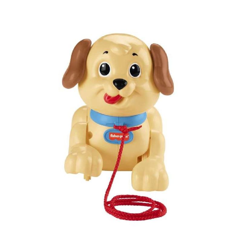 Fisher-Price-Meu-Primeiro-Cachorrinho---Mattel
