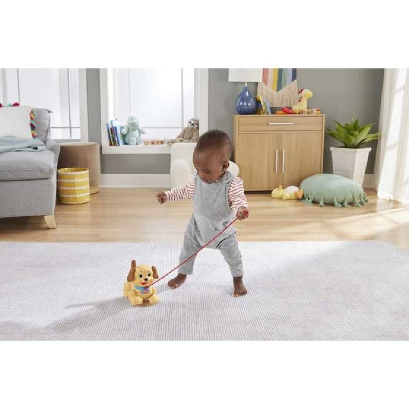 Fisher-Price-Meu-Primeiro-Cachorrinho---Mattel